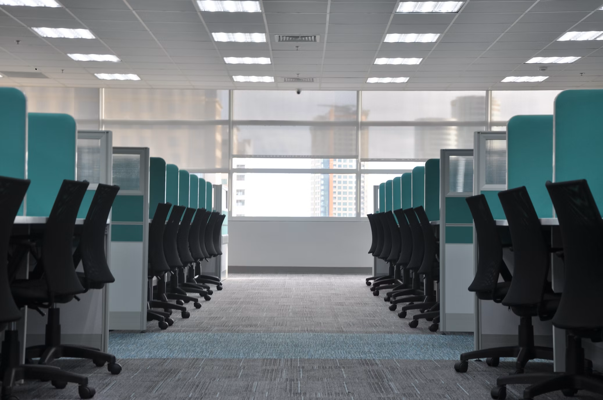 two rows of empty office cubicles