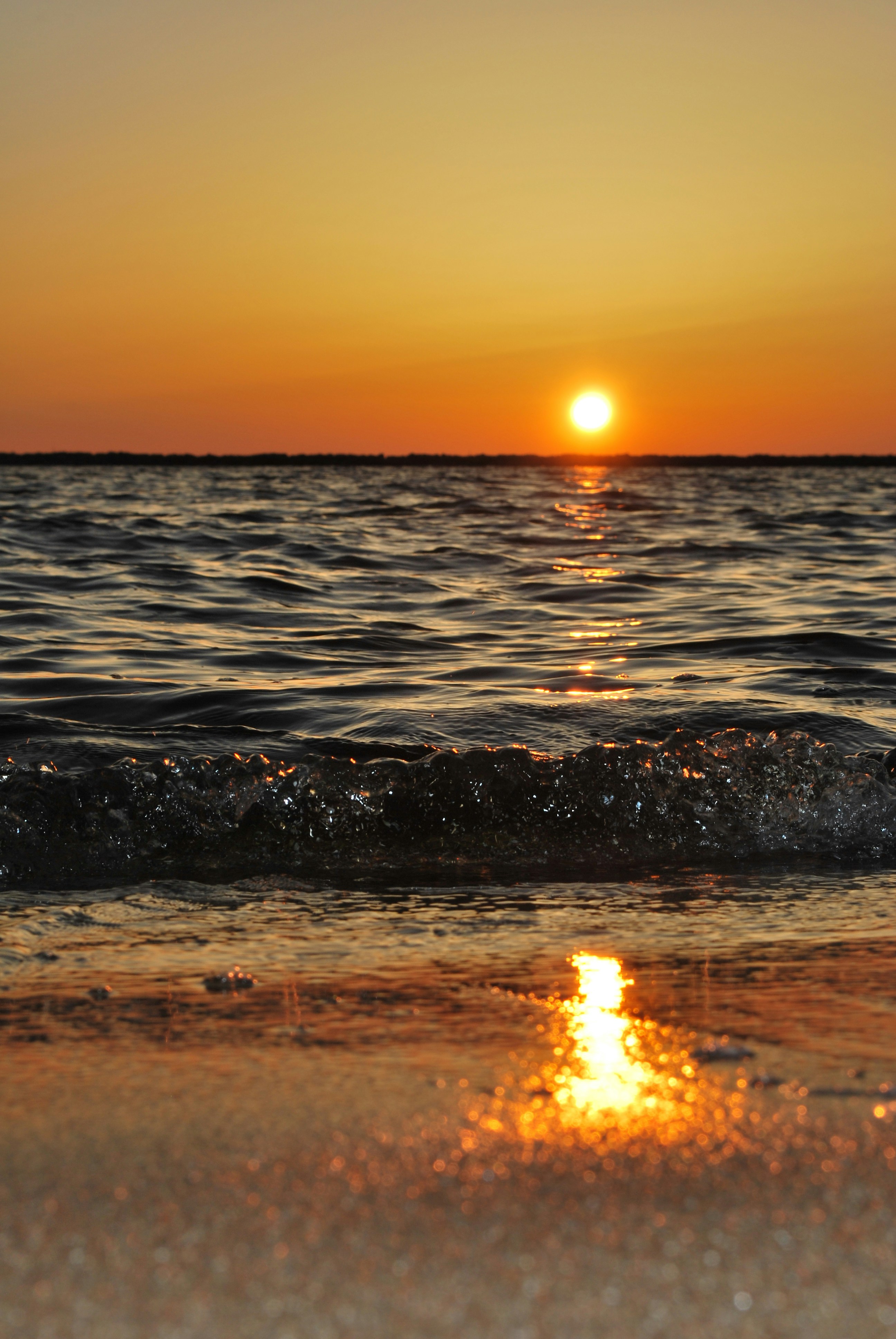 Body of water wave photo during golden time